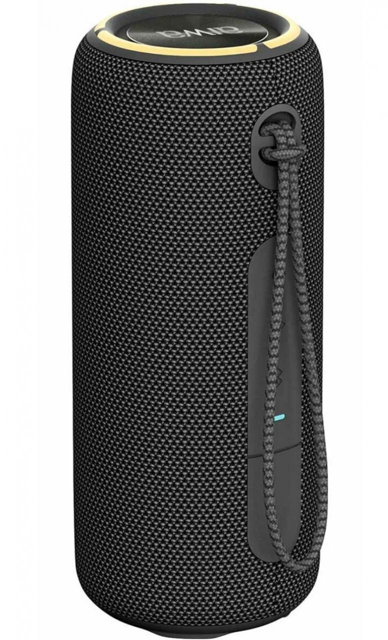 Портативная акустика Aiwa PAS-H300 (19179) черный